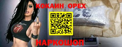 сатива Будённовск