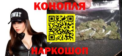 сатива Будённовск