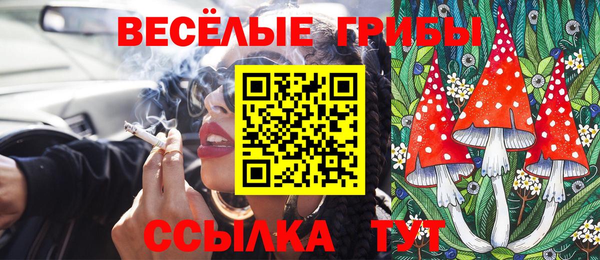 Галлюциногенные грибы Cubensis Чебоксары